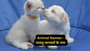 Animal Names - पालतू जानवरों के नाम | जंगली जानवर | जलीय जानवर |
