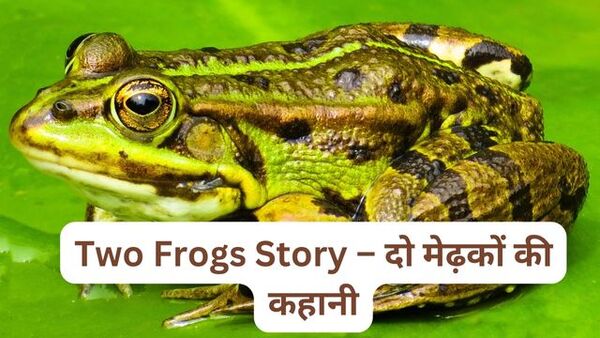 Two Frogs Story – दो मेढ़कों की कहानी